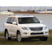 Внутрішня арка/підкрилок для Lexus LX J200